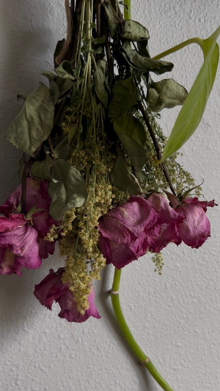 How to Enjoy Fresh Roses for Longer